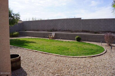 Tony Back yard