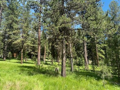 11 Vernon Ct unit Lot 24, McCall, ID 83638 - photo 3