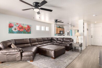 Plenty of Natural Light