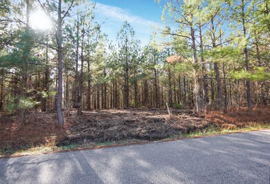 6 Cottrell Ridge Rd, Dover, TN 37058 - photo 2