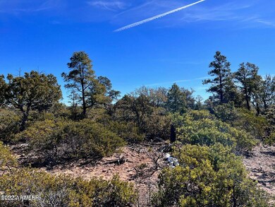 1985 S Twin Peak Trail unit 392, Show Low, AZ 85901 - photo 4
