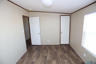 4217 Mimosa St, Carlsbad, NM 88220 - photo 7