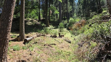 00987 Deer Run Rd, Cedarpines Park, CA 92322 - photo 5