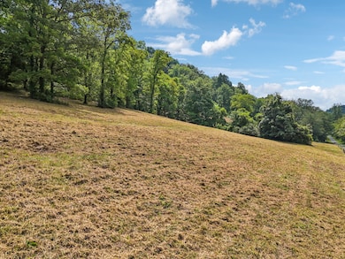 10A Puncheon Camp Ln, Bell Buckle, TN 37020 - photo 6