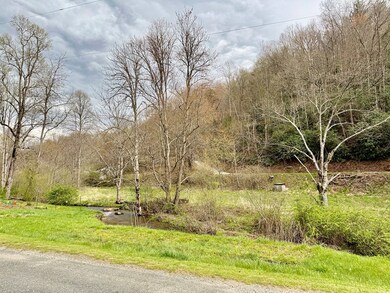 0 Nantahala School Rd, Topton, NC 28781 - photo 4