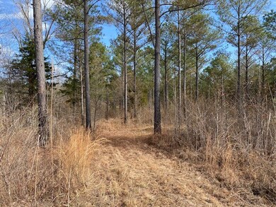 TBD Cr 411, Oxford, MS 38655 - photo 5