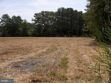 0 Wesley Church unit MDDO2000162, Toddville, MD 21672 - photo 4