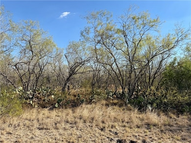 0 County Road 215, McCoy, TX 78113 - photo 3