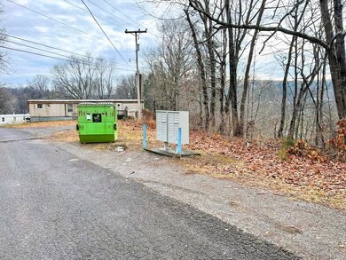 TBD Cox Ln, Max Meadows, VA 24360 - photo 2