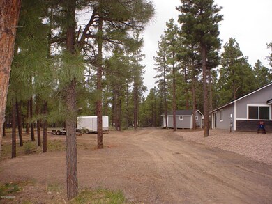 Lots of Trees