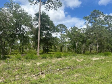 xx Ramsay Way, Panacea, FL 32346 - photo 5