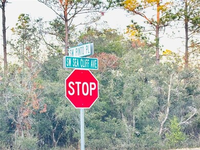 TBD SW Sea Cliff Ave, Dunnellon, FL 34431 - photo 5
