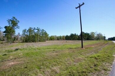 21299 Big Buck Dr, Cleveland, TX 77328 - photo 4