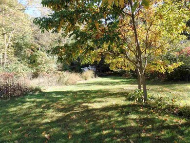 Looking out toward the back yard wooded area.