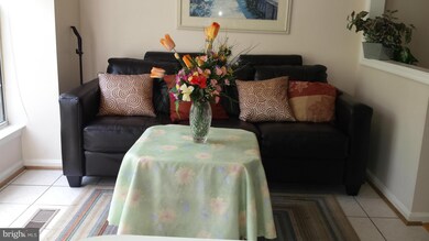 5136 Beauregard St, Alexandria, VA 22312 - photo 5