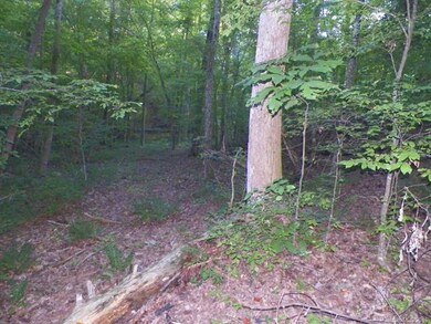 SHOT LOOKING INTO SUBJECT PROPERTY AREA FROM BOAT 