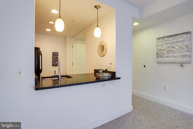 The Odyssey Condominiums unit 301, Arlington, VA 22201 - photo 7