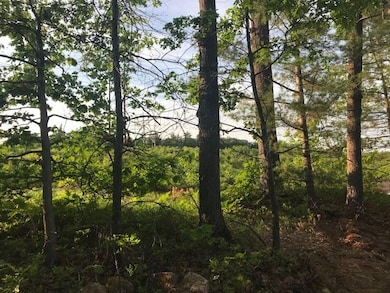 63 Hardy Rd, Londonderry, NH 03053 - photo 3