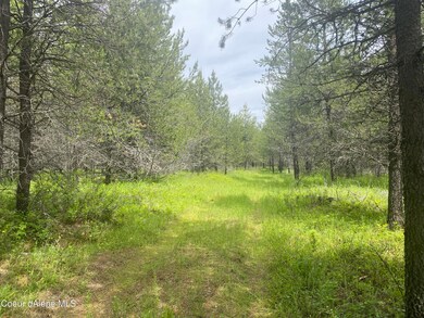 NNA Red Fir Rd, Athol, ID 83801 - photo 2