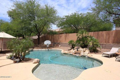 backyard2