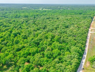 View of bird's eye view