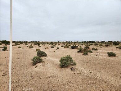 3 AC Fairview Rd, Newberry Springs, CA 92365 - photo 7