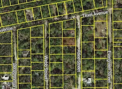 0 Atlee St unit MFRW7878213, New Port Richey, FL 34654 - photo 2