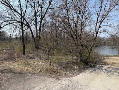 123 W Benton St, Oswego, IL 60543 - photo 5