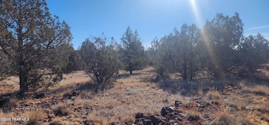 2113 W Skyline Dr, Ash Fork, AZ 86320 - photo 4