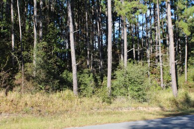 3.9 Basin-Central Rd, Lucedale, MS 39452 - photo 4