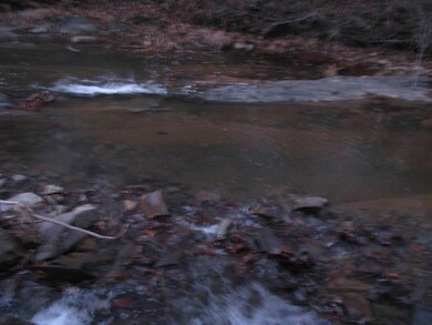 Broad Run 012