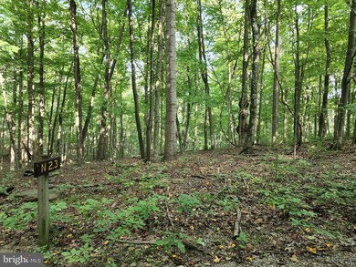 0 Dogwood Ln unit WVMO2002192, Berkeley Springs, WV 25411 - photo 4