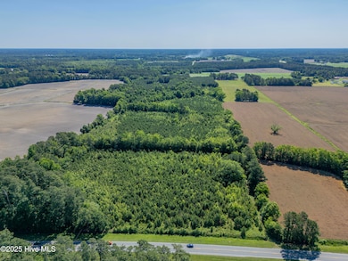 DJI_0115