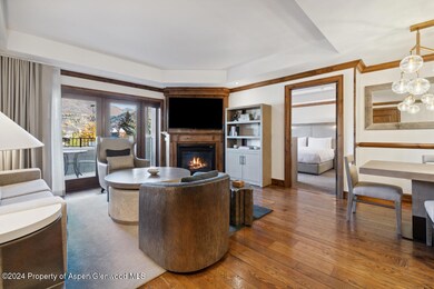 415 E Dean St Unit 16 Week 33, Aspen, CO 81611 - photo 4