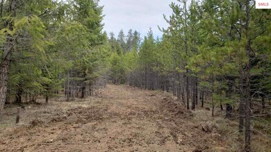 NKA Honeysuckle Rd, Athol, ID 83801 - photo 4