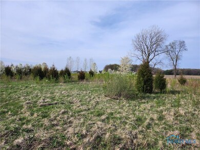 11500 Stiles Rd, Whitehouse, OH 43571 - photo 4