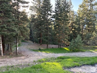 View of dirt / gravel road featuring a forest view