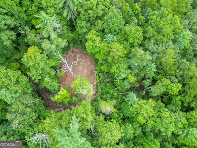 0 Hwy 28 unit 10584723, Clayton, GA 30525 - photo 7