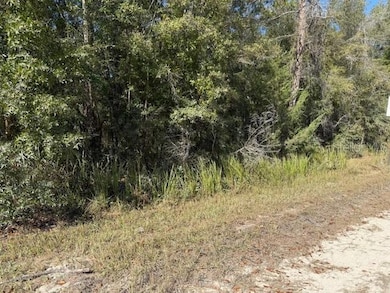 0 NE 108th Ave, Bronson, FL 32621 - photo 2