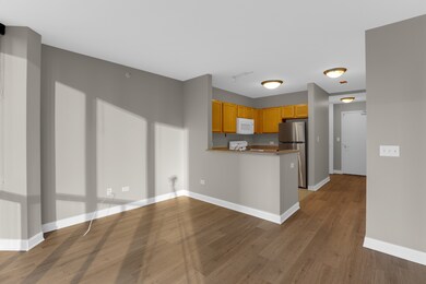Park Millennium unit 611, Chicago, IL 60601 - photo 6