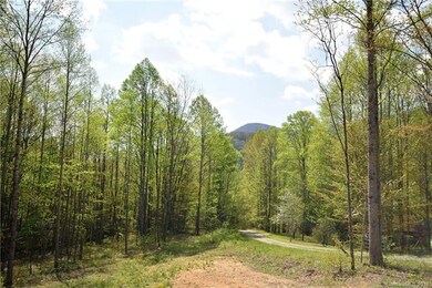 View from the Front Covered Porch