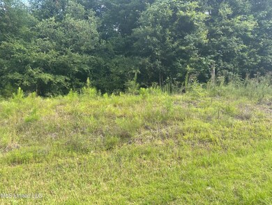 1ac Barton-Agricola Rd, Lucedale, MS 39452 - photo 7