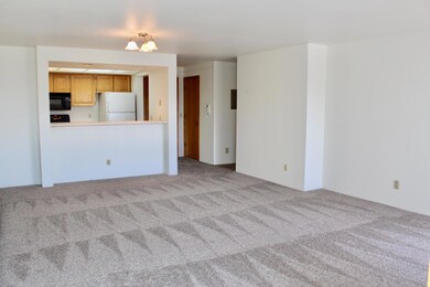 Brand new carpet
