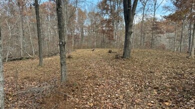 527 Chestnut Grove Cemetery Rd, Bonnieville, KY 42713 - photo 2