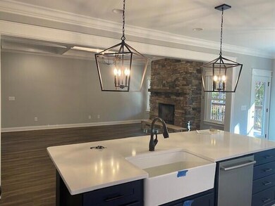 CV5 Kitchen Great Room