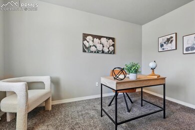 Office space featuring carpet floors