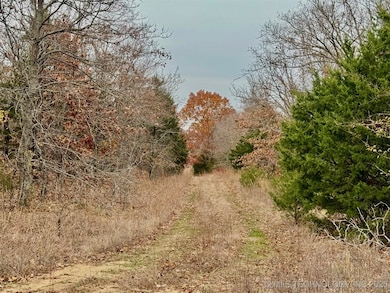 0 S 4547 Rd unit 2548088, Vian, OK 74962 - photo 5