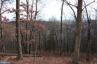 0 Supinlick Ridge Rd unit VASH2013102, Mount Jackson, VA 22842 - photo 6