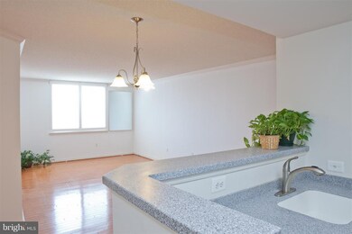 3835 9th St N unit 902W, Arlington, VA 22203 - photo 2