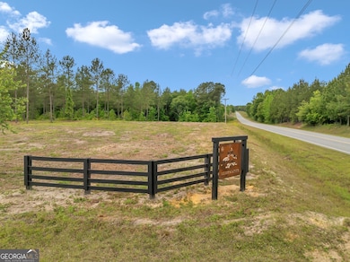 0 Dewey Thomas Rd unit LOT 15 10589727, Dexter, GA 31019 - photo 3